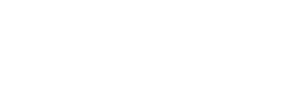 Volantyx